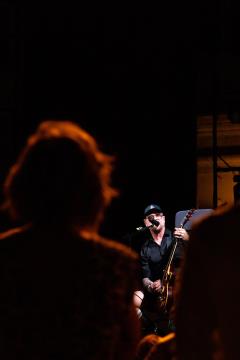 Dan drzˇavnosti, SIDDHARTA-51